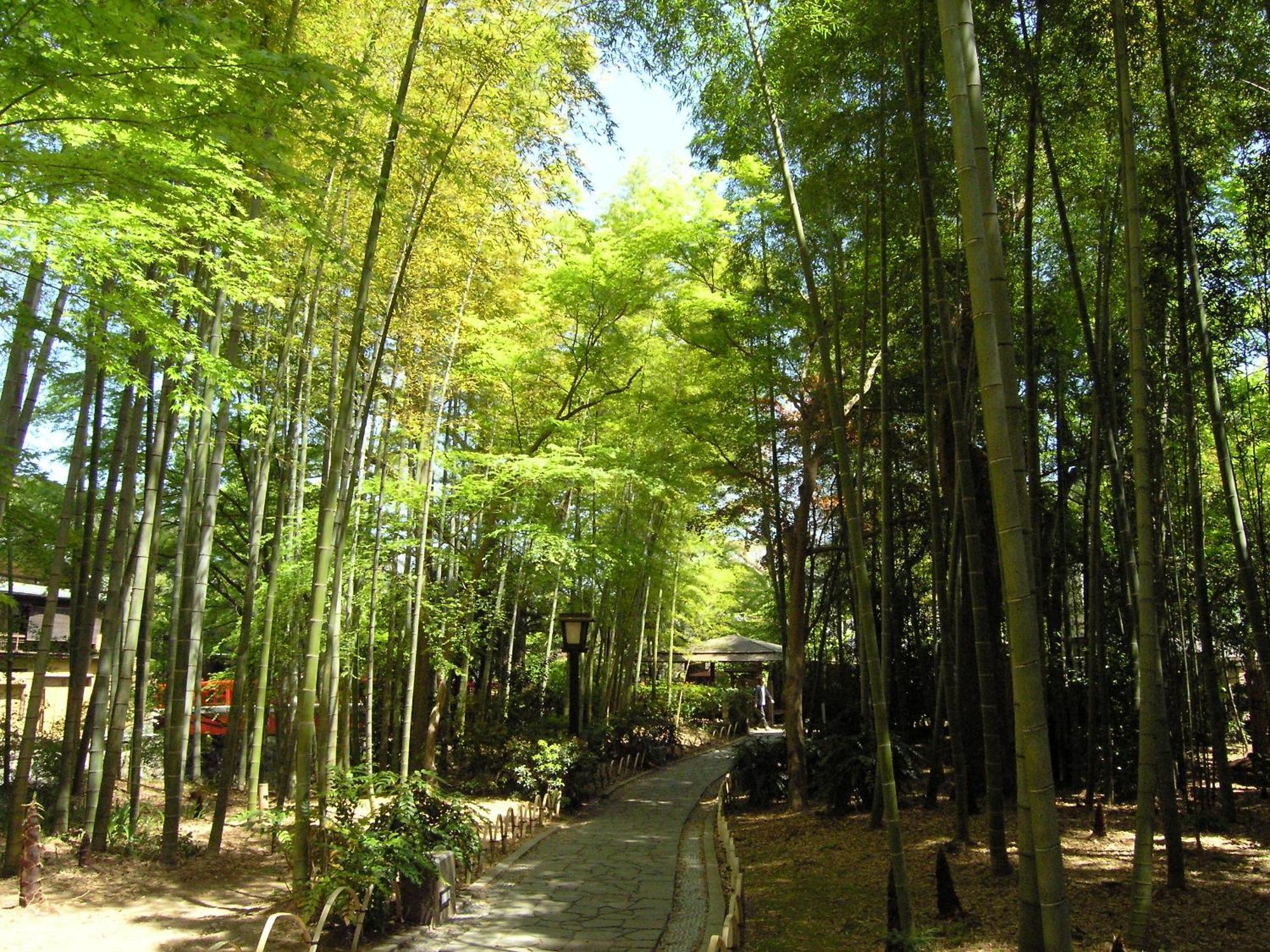 Izu Marriott Hotel Shuzenji Экстерьер фото