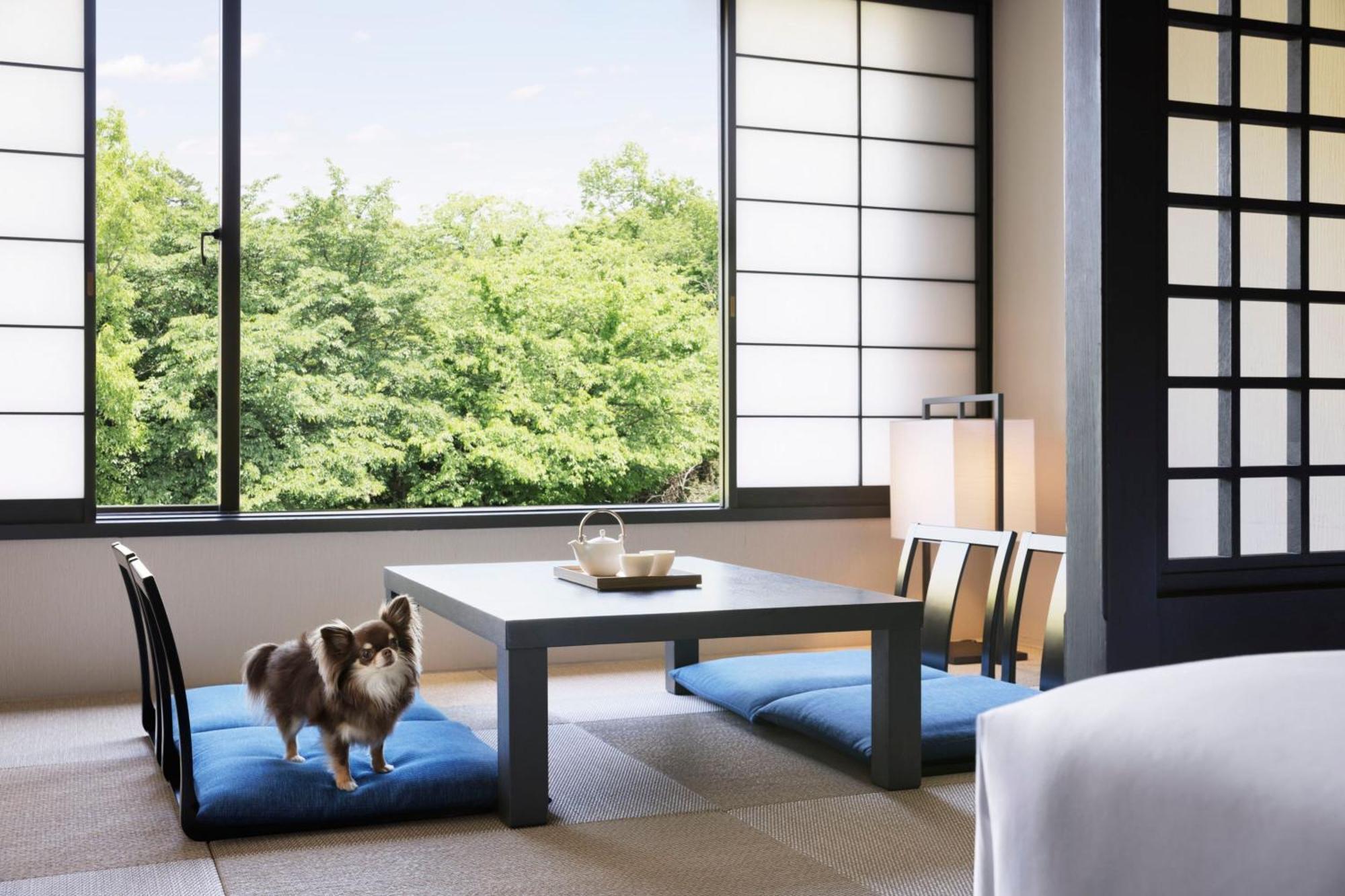 Izu Marriott Hotel Shuzenji Экстерьер фото