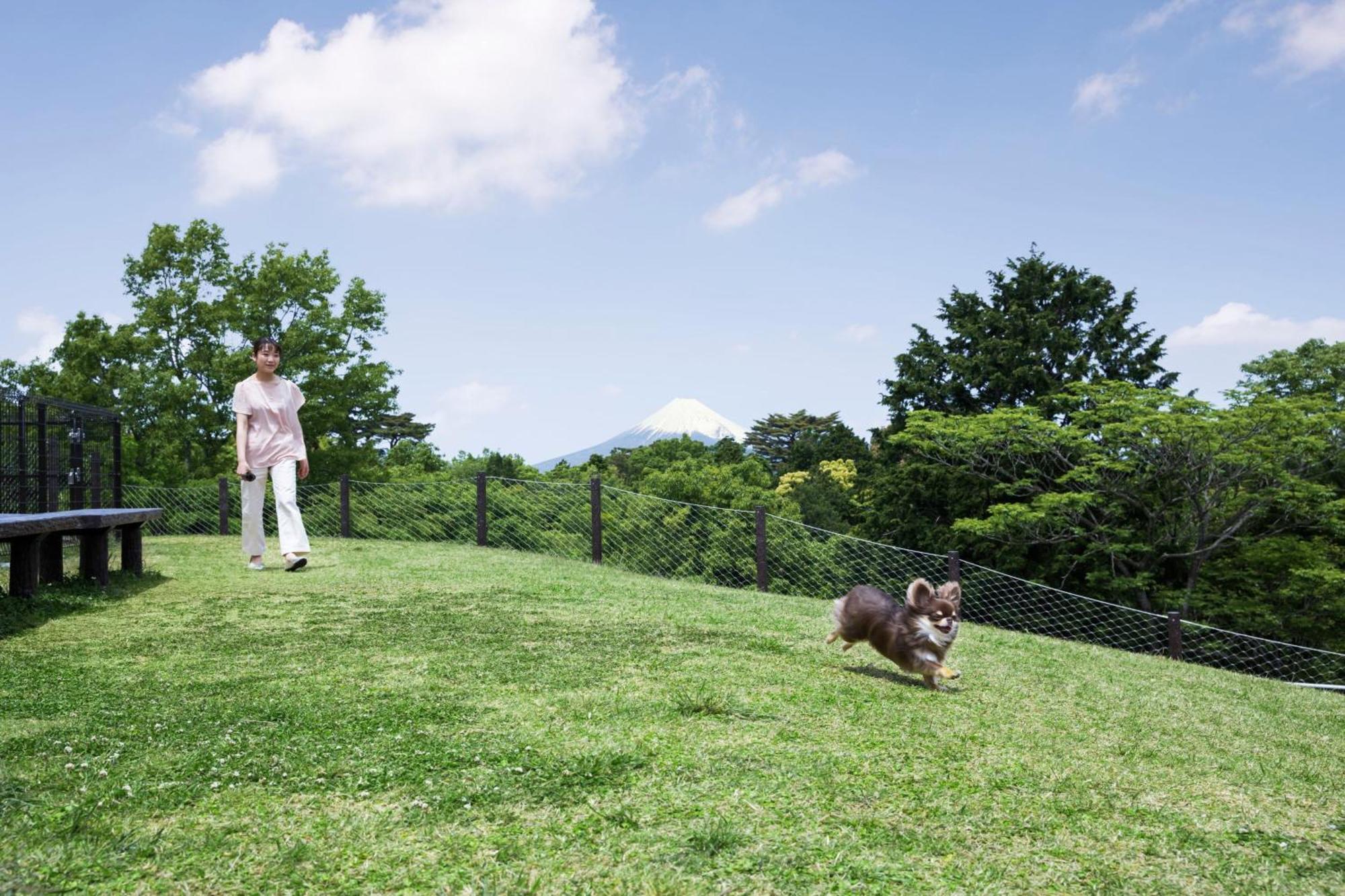 Izu Marriott Hotel Shuzenji Экстерьер фото