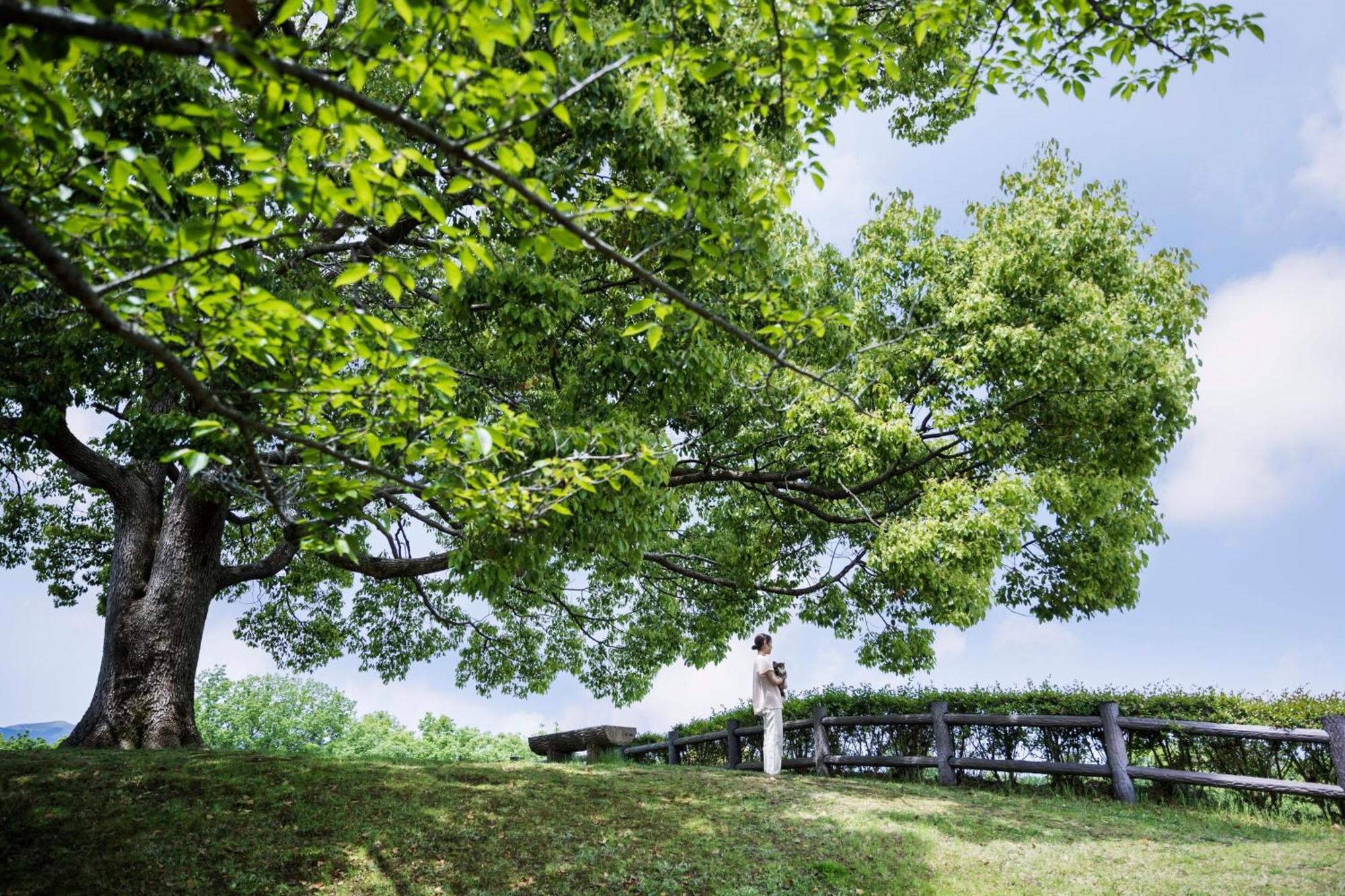 Izu Marriott Hotel Shuzenji Экстерьер фото